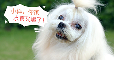 ������ʱ��(�й���)�������ǲ�!